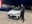Jimmy with his 2026 Toyota Camry SE